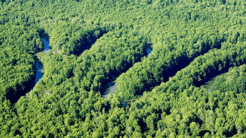Hotel Sierpe River Zewnętrze zdjęcie